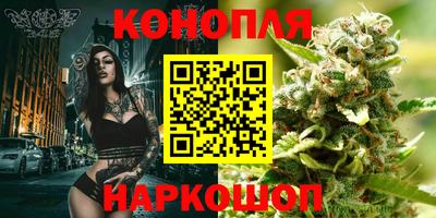 прущие грибы Иваново