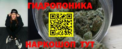 шишки Ижевск
