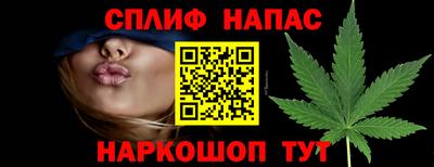 прущие грибы Иваново
