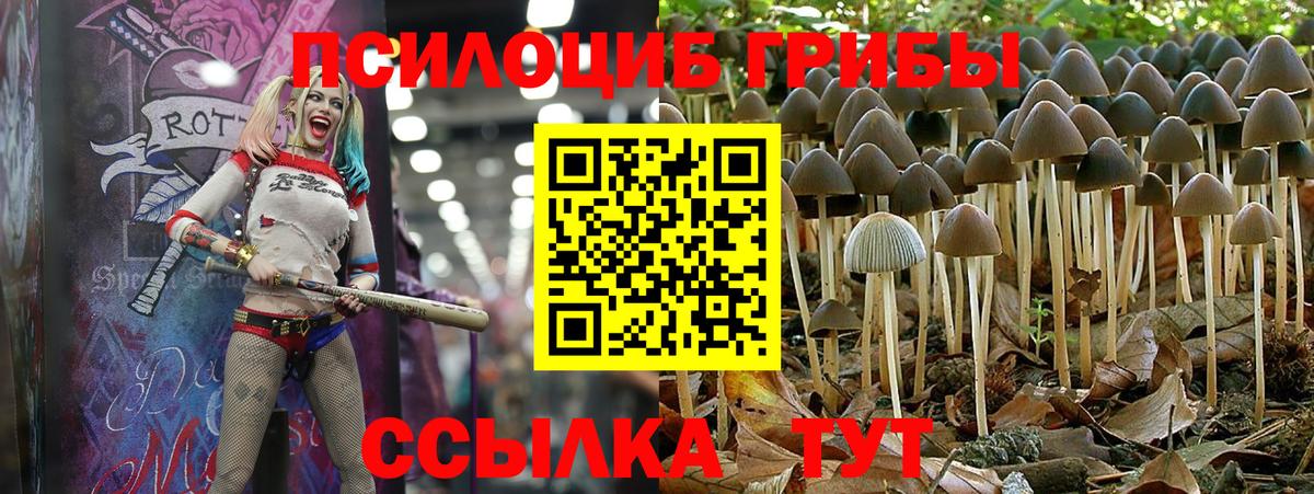 Галлюциногенные грибы мухоморы Осинники