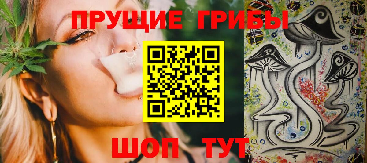 Галлюциногенные грибы Psilocybine cubensis  Вход с VPN  Осинники 